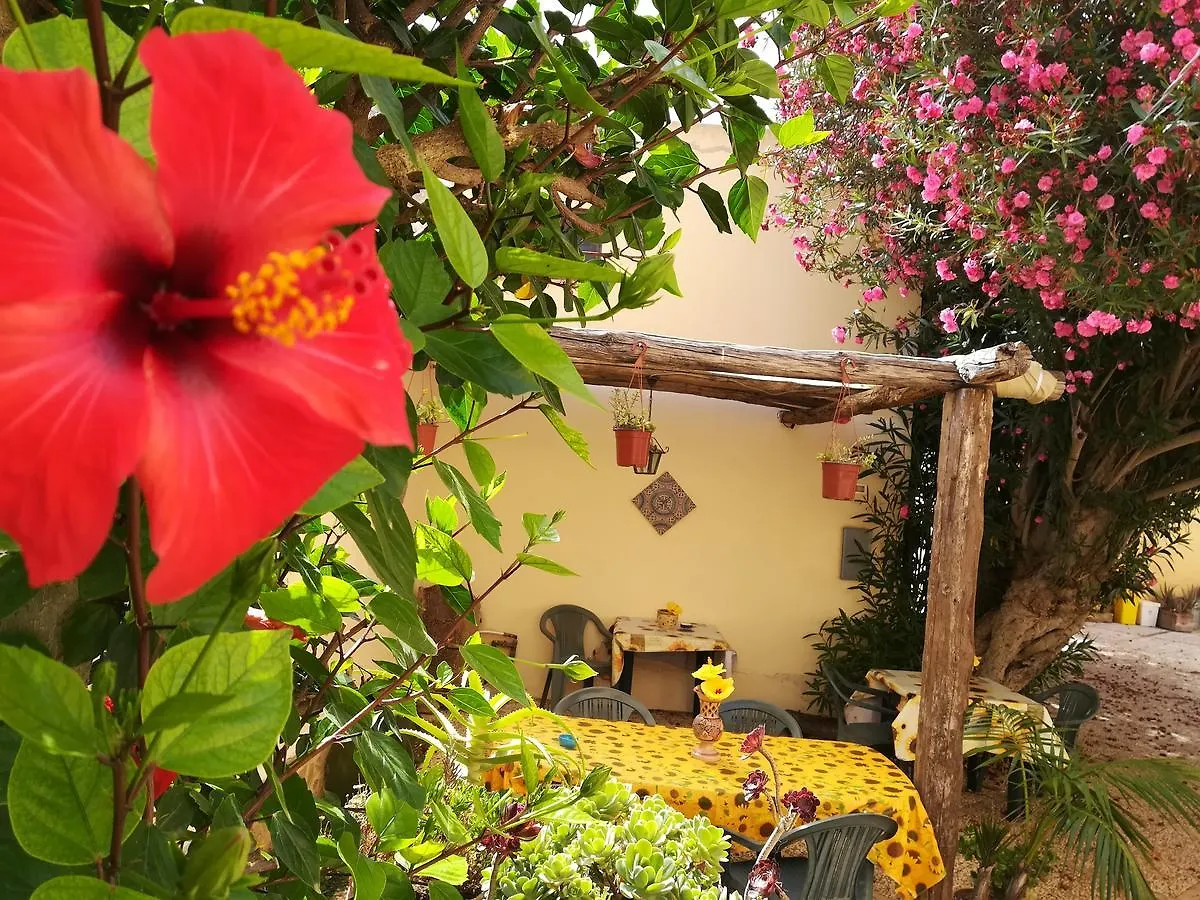 Bed and Breakfast Sunrise Stagnone - Kitesurf Spot Marsala Italien